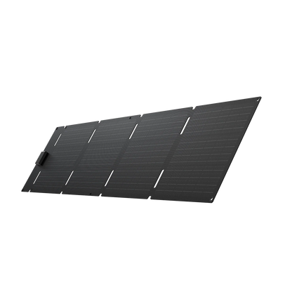 EcoFlow 60W Portable Solar Panel