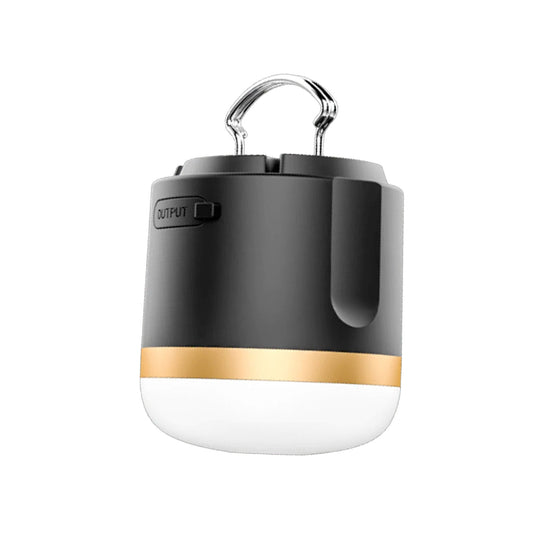 EcoFlow Camping Light