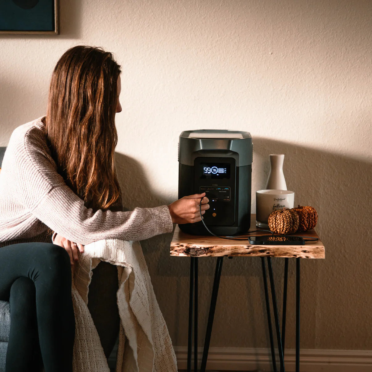 EcoFlow Delta 2 Portable Power Station (Open Box)