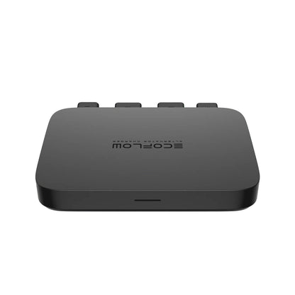 EcoFlow 800W Car Alternator Charger